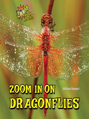 cover image of Zoom In on Dragonflies